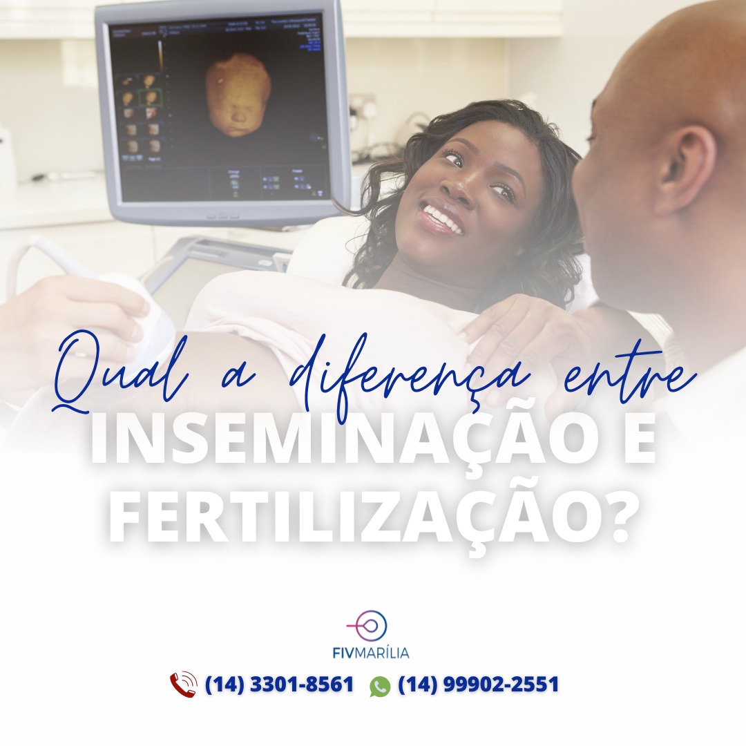 Diferença entre Inseminação e Fertilização…